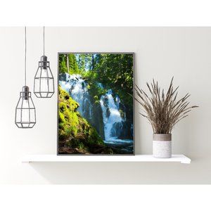 National Creek Falls, Oregon Waterfall Wall Art Design Poster Print Decor